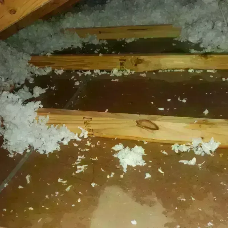 Attic Water Damage in Elk Ridge, UT